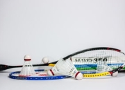 游戏试玩模拟器-马来西亚羽毛球队完胜印尼羽毛球队，马琳制霸全场