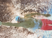 棋牌游戏-绿茵场与篮球馆的交响，德甲争冠焦点战与湖人决胜局的胜利哲学