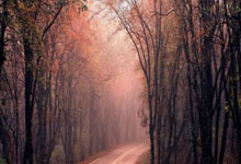 开云棋牌平台-当费城76人遇见北京首钢，福克斯的无解是一场篮球文明的降维对话