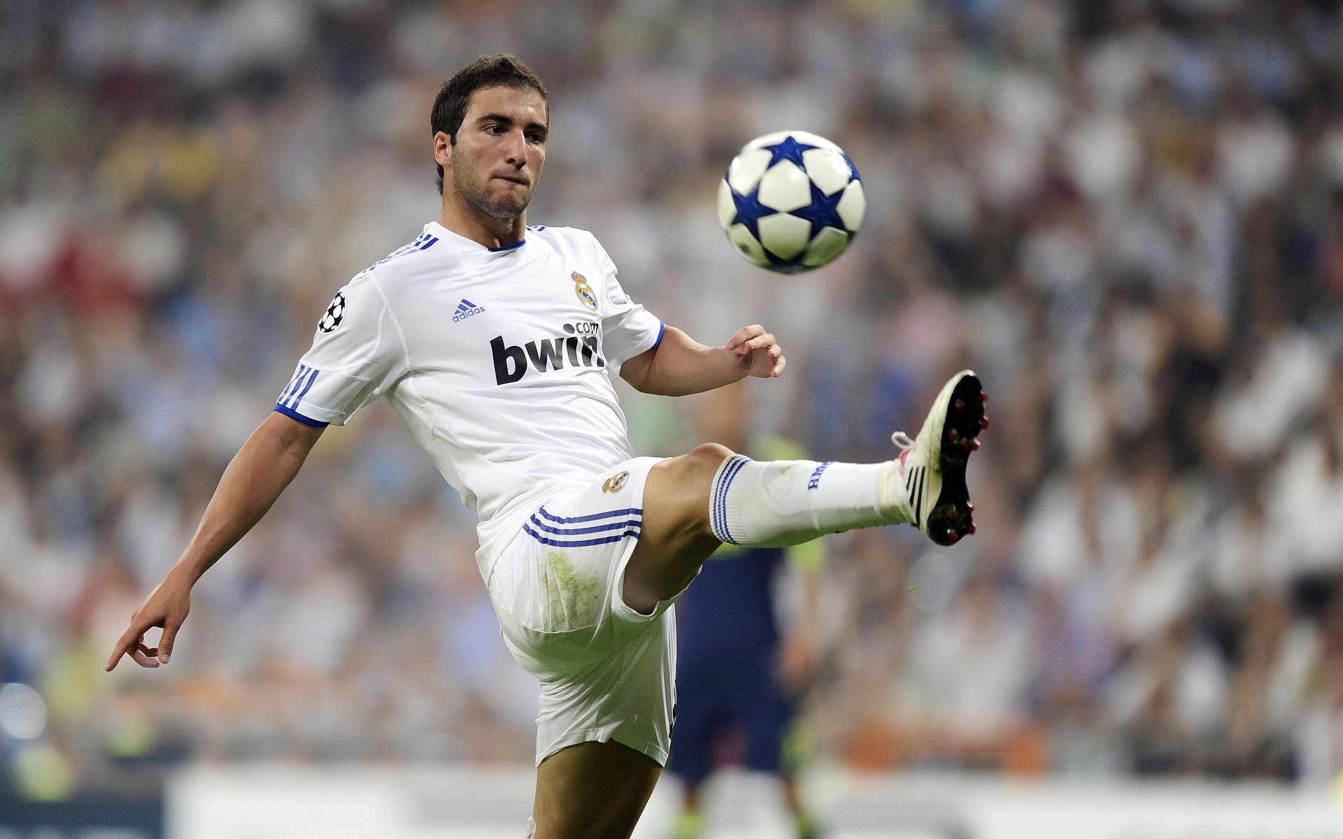 赛道上的宿命对决,哈斯鏖战雷诺,塞恩斯统治全场